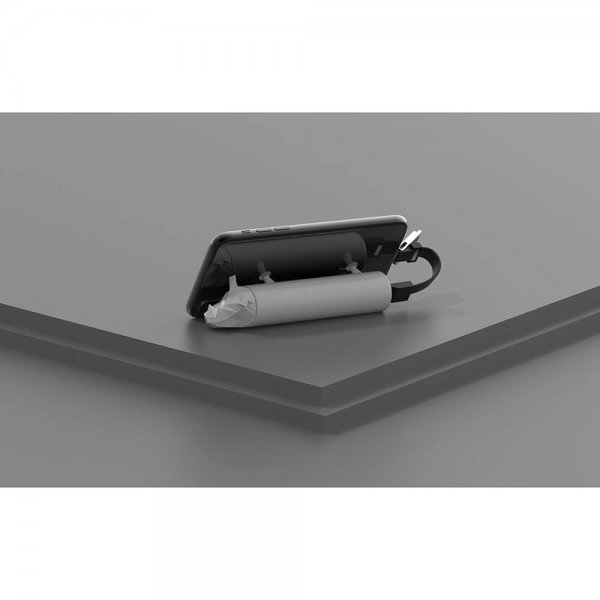 Mobility on Board Powerbank Power Pets 4800mAh Rhino