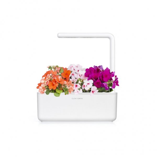 Click and Grow Smart Garden Refill 3-pack - Flitiga Lisa