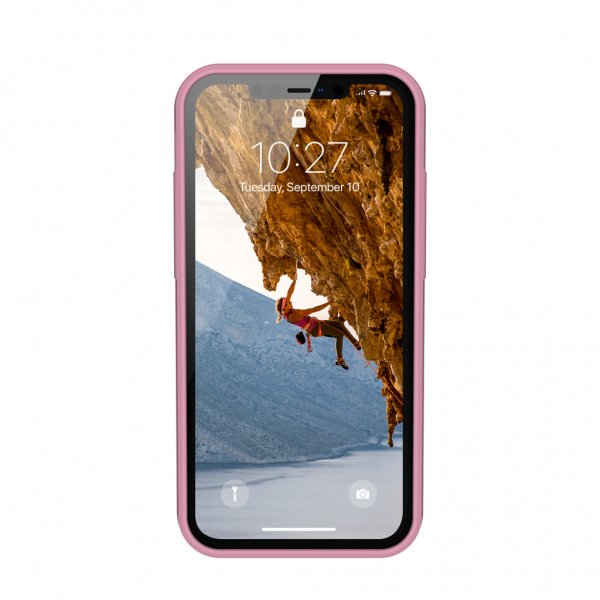 U by UAG iPhone 12/iPhone 12 Pro Skal Anchor Dusty Rose