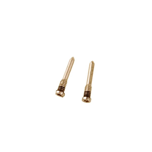 iPhone XS/XR/XS Max Bottenskruvar 2st - Guld