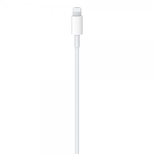 Apple Original Kabel USB-C to Lightning Cable 2 m