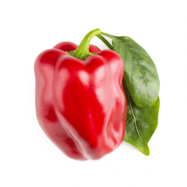 Click and Grow Smart Garden Refill 3-pack - Röd paprika