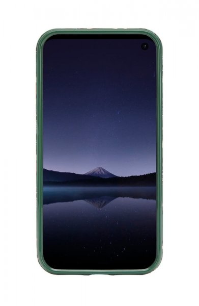 Richmond & Finch Samsung Galaxy S10E Skal Green Leopard
