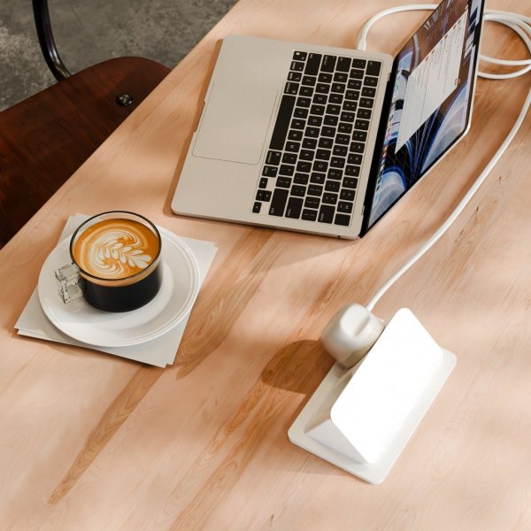 Twelve South PowerCord USB-C Laddare 1.2 meter Dune
