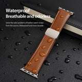 Dux Ducis Apple Watch 44/45/46mm/Ultra 49mm Armband YA Series Brun