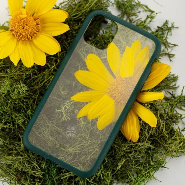 Pela iPhone 11 Skal Eco Friendly Clear Grön