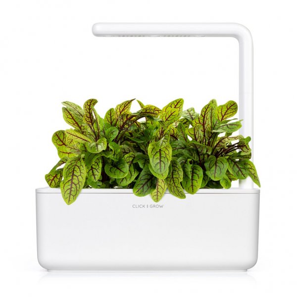 Click and Grow Smart Garden Refill 3-pack - Skogsskräppa