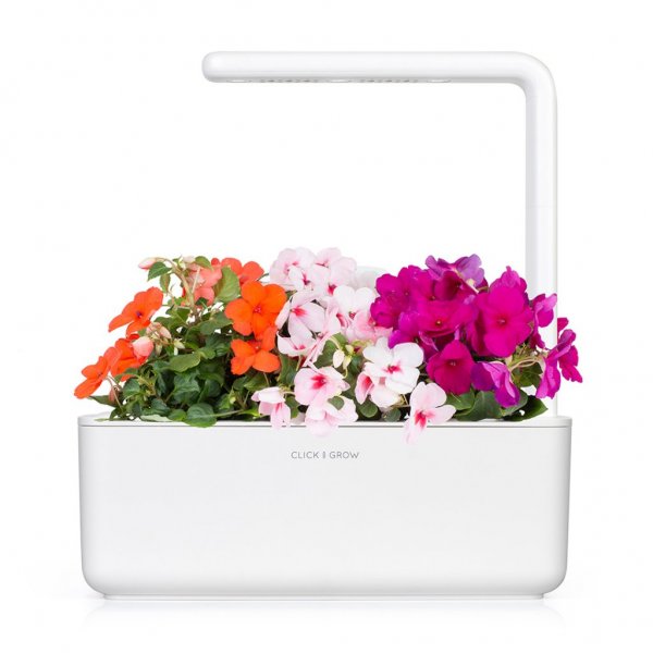 Click and Grow Smart Garden Refill 3-pack - Flitiga Lisa