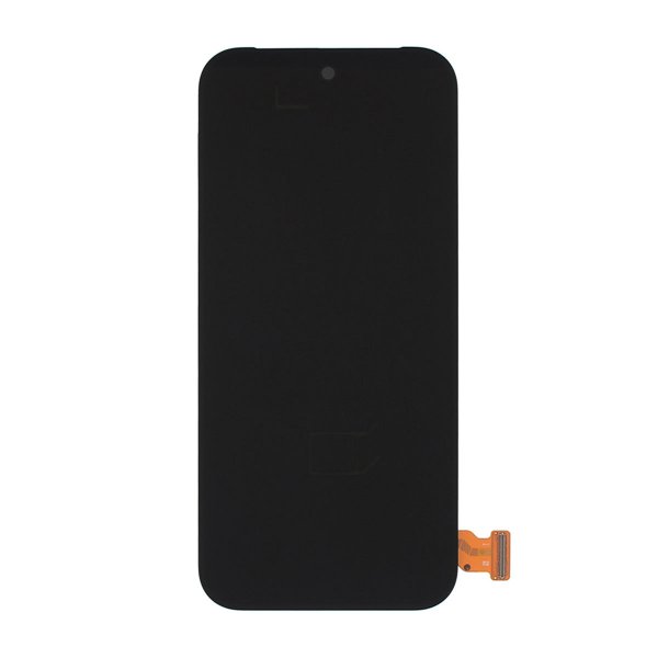 Google Googe Pixel 9 Pro Display