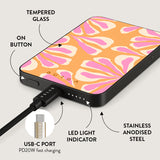 Burga Powerbank MagSafe 5000 mAh Aloha Grå