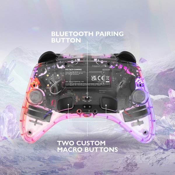 Deltaco Gaming Trådlös Kontroll för Nintendo Switch Transparent RGB