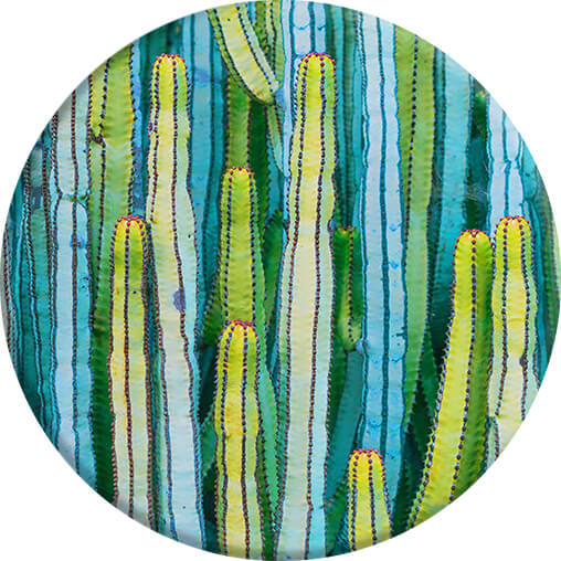 Popsockets PopGrip Cactus Patch