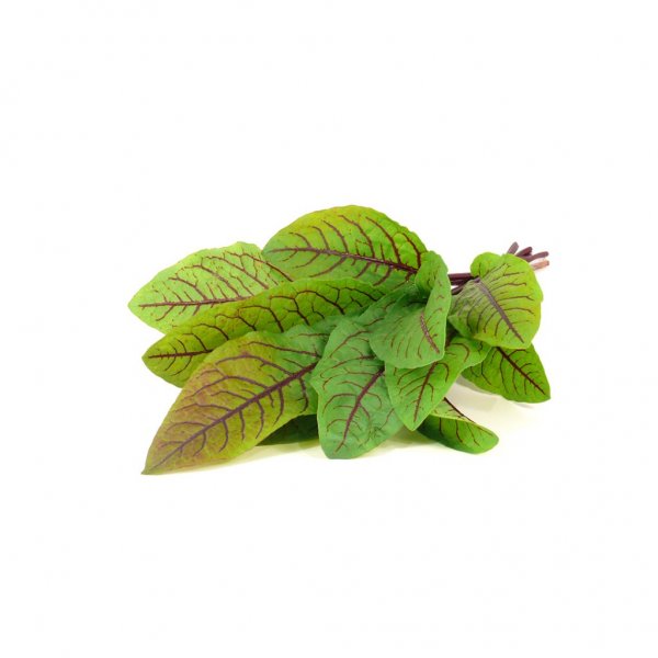 Click and Grow Smart Garden Refill 3-pack - Skogsskräppa