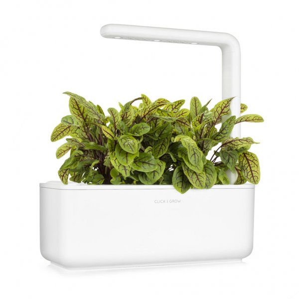 Click and Grow Smart Garden Refill 3-pack - Skogsskräppa