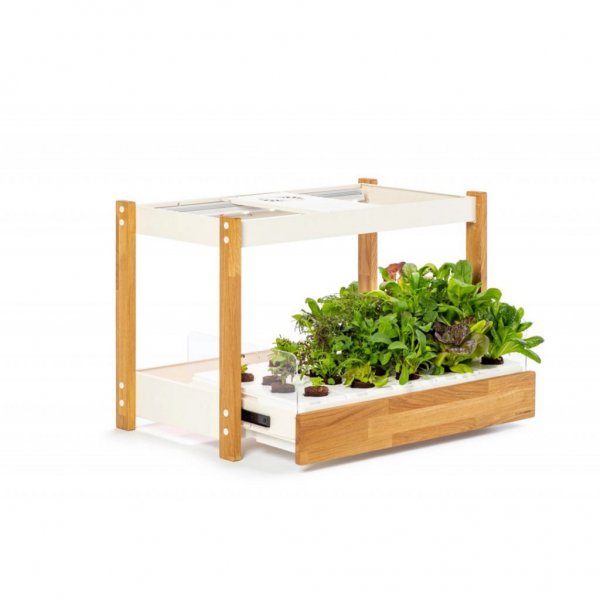 Click and Grow 25 - Vit (Salad Greens 54x pack)