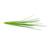 Click and Grow Smart Garden Refill 3-pack - Gräslök