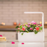 Click and Grow Smart Garden 3 Start kit - Mellow Beige