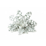 Click and Grow Smart Garden Refill 3-pack - Silverek