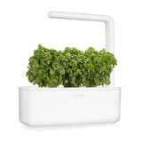 Click and Grow Smart Garden Refill 3-pack - Finbladig Basilika