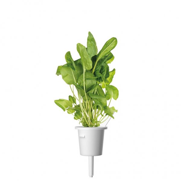 Click and Grow Smart Garden Refill 3-pack - Ängssyra
