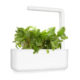 Click and Grow Smart Garden Refill 3-pack - Ängssyra
