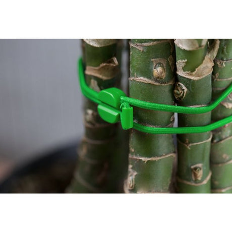 Bluelounge Pixi Medium Låsbara Gummiband Svart Grön