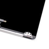 Skärm/Display MacBook Pro 13" A2159 (2019) - Rymdgrå