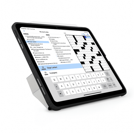 Pipetto iPad Pro 11 (M4/M5) Fodral Origami No1 Original Case Svart