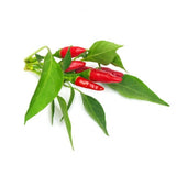 Click and Grow Smart Garden Refill 3-pack - Piri Piri