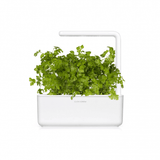 Click and Grow Smart Garden Refill 3-pack - Persilja