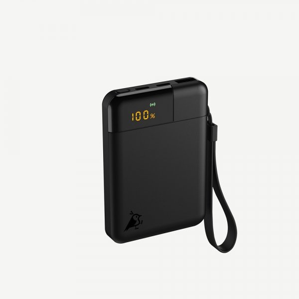 Aqiila Powerbank Powerbird B5 5 000 mAh 12W Svart