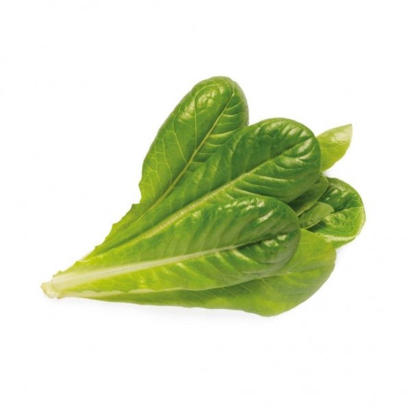 Click and Grow Smart Garden Refill 3-pack - Romansallad