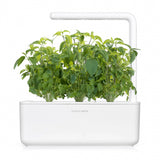 Click and Grow Smart Garden Refill 3-pack - Thai basilika