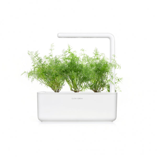 Click and Grow Smart Garden Refill 3-pack - Dill