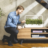 Click and Grow Smart Garden 9 Pro Start Kit Vit