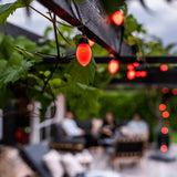 Lite bulb moments Smart String Lights - Oval Globe