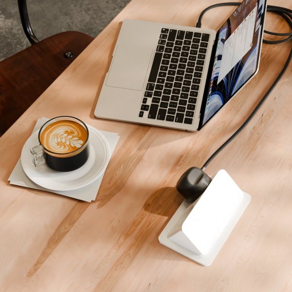Twelve South PowerCord USB-C Laddare 1.2 meter Slate