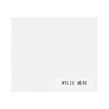 WYLlE Värmeisoleringsdyna för IC Reparation