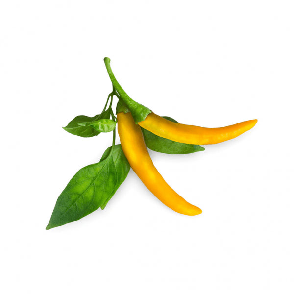 Click and Grow Smart Garden Refill 3-pack - Gul Chilipeppar