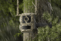 Talon Pro Camovue 4K 4G Viltkamera