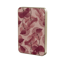 Powerbank MagSafe 5000 mAh Tender Kiss Guld