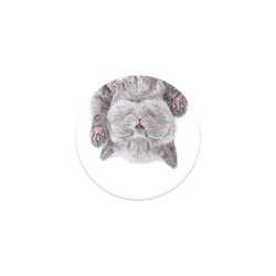 PopGrip Cat Nap