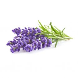 Smart Garden Refill 3-pack - Lavendel
