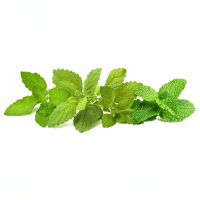 Smart Garden Refill 9-pack Calming Tea Mix