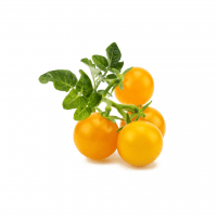 Smart Garden Refill 3-pack - Gul tomat