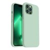 iPhone 12/iPhone 12 Pro Skal Silikon Grön
