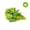 Smart Garden Refill 9-pack Grøn salatblanding