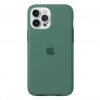 iPhone 12 Pro Max Skal Presidio Perfect-Mist Fern Green