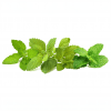 Smart Garden Refill 9-pack Calming Tea Mix