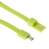 Armband och Micro USB Kabel. Grön